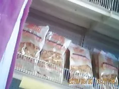 Indijos Ciocia asilas