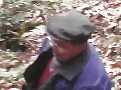 Miškuose serija - miško laukinių